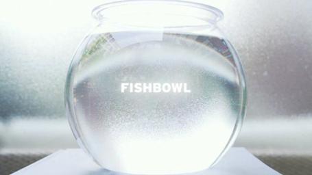valley - fishbowl