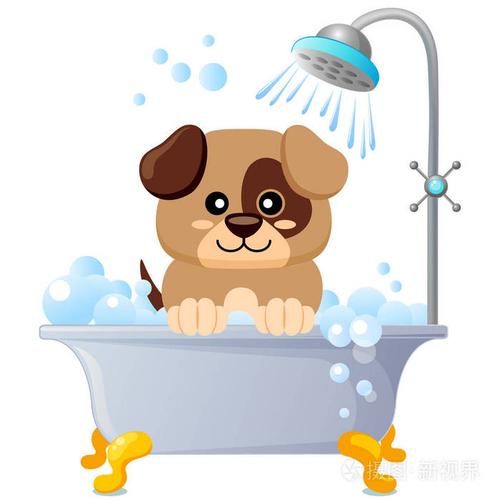可爱的小狗洗澡.宠物犬训练