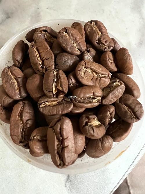咖啡豆记录九帕咖啡墨西哥帕卡马拉