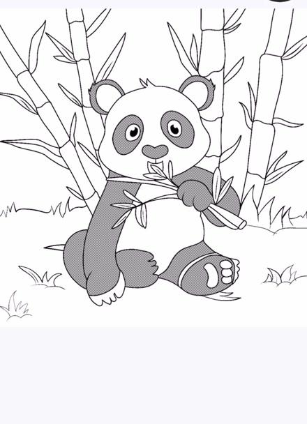 小鹏哥哥儿童涂鸦大熊猫吃竹子