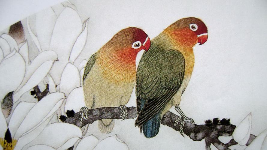 鹦鹉的工笔画法 - 冰莲花的日志 - 网易博客