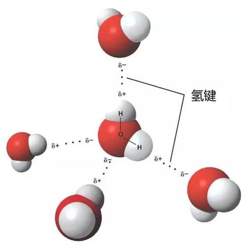 水分子四面体结构