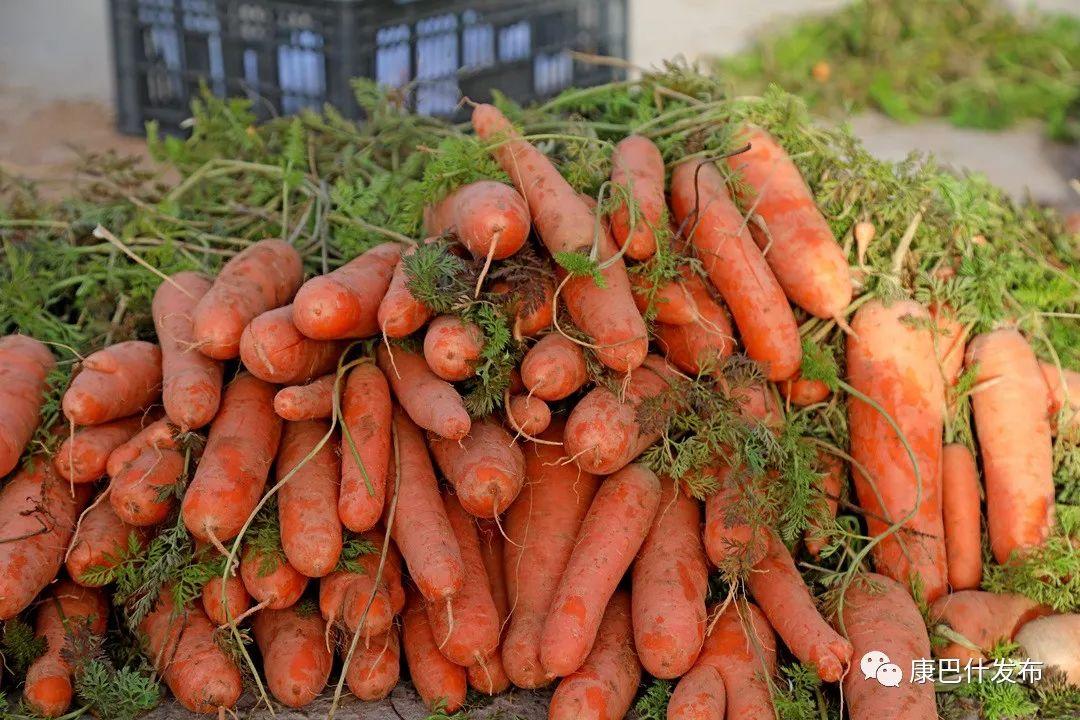 萝卜,精白菜,蔓菁,芋头,土豆,红葱……被分门别类整齐码放,堆得像小山