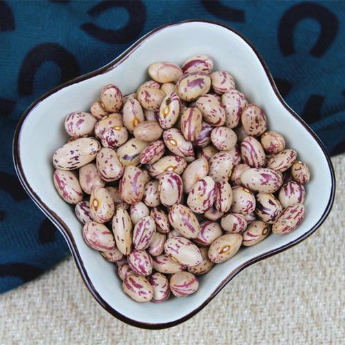 pinto bean light speckled bean kudney lskb new crop wholesale