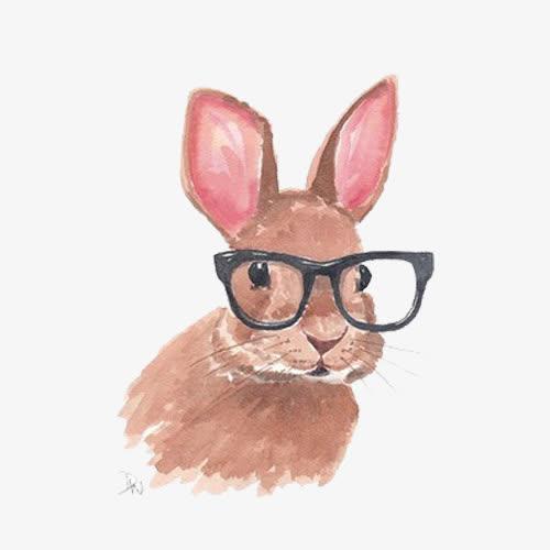 戴眼镜的小兔子