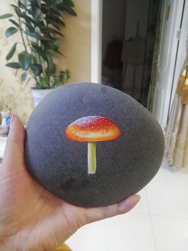 小蘑菇石头画