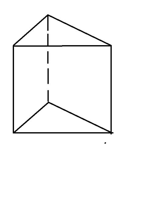 求这个的立体图是怎么样的,底面是个等边3角形,侧面为什么是直角三角