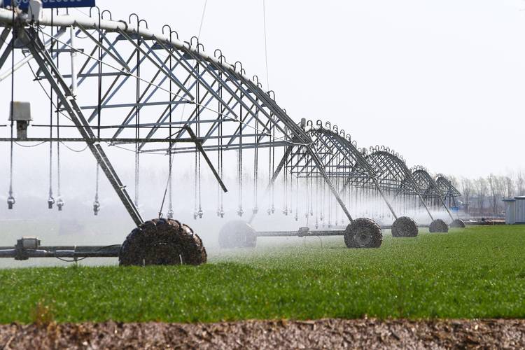 2月23日,在河南省鹤壁市浚县一片高标准农田里,自走式喷灌机在为小麦