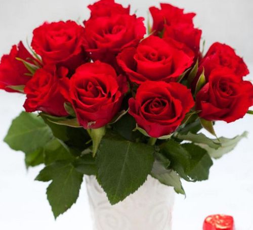 灵签占卜:选择一束你喜欢的玫瑰花,测你的初吻给了谁?