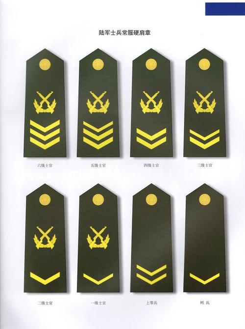 中国人民解放军07式军服(标志1)