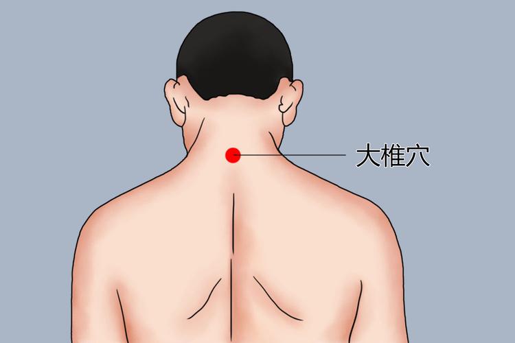 为手足三阳经交会穴,具体艾灸部位为第7颈椎棘突下凹陷中,位于人体后