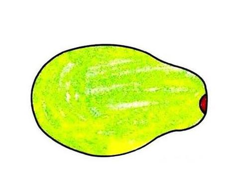 椰子树简笔画图片儿童绘画作品图集简笔画木瓜的画法5木瓜树的简笔画