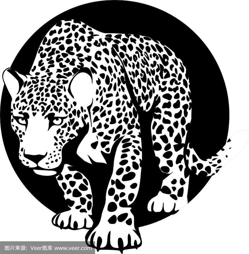 黑色的豹子和白色的剪影