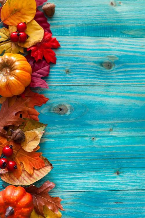 蓝色木板与秋天树叶背景图片 蓝色木板与秋天树叶背景图片素材下载
