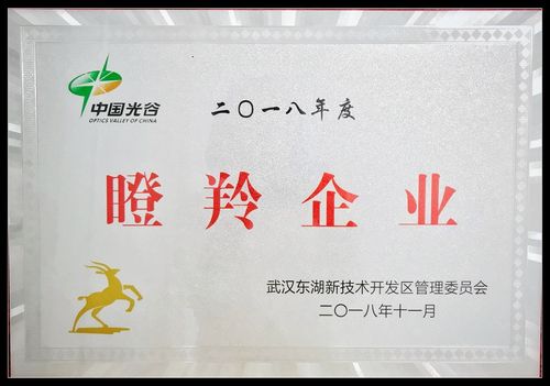 2018年度瞪羚企业证书-公司荣誉-武汉先路医药科技股份有限公司