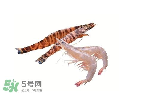 竹节虾和基围虾的区别
