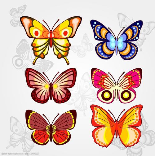 色彩斑斓美丽的蝴蝶手绘