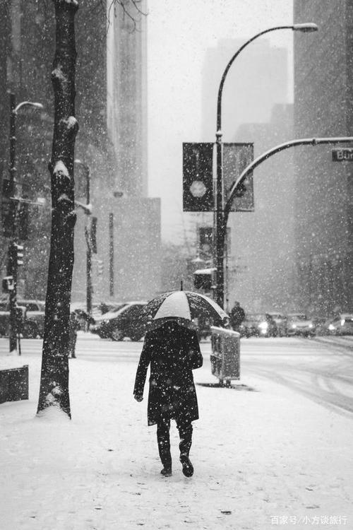 撑着伞,独自行走在雪中,孤独又惆怅