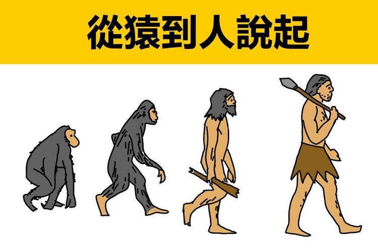从猿到人人是怎么从猿进化到人的最早的国家奴隶国家