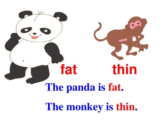 fat thin the panda is fat. the monkey is thin.