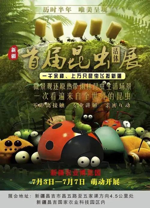 昌吉市首届暑期亲子游园会 昆虫活体展7月3日盛大开幕!