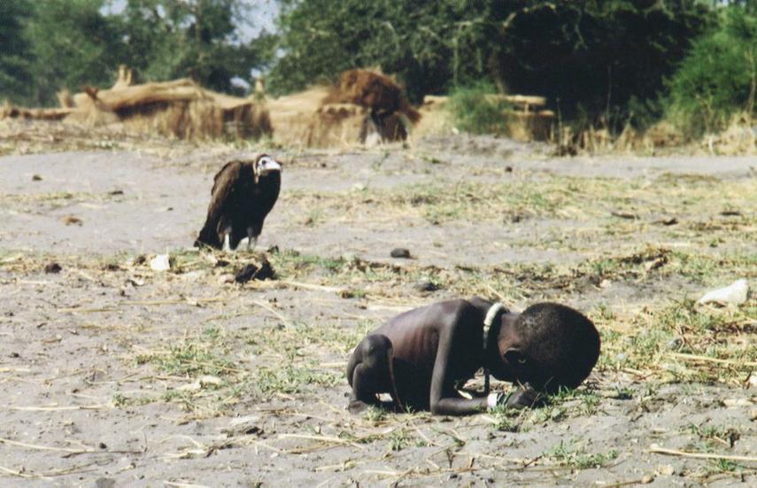 找一图片,忘了名字,只记得背景是非洲,图中有个饥饿的小女孩,身边是