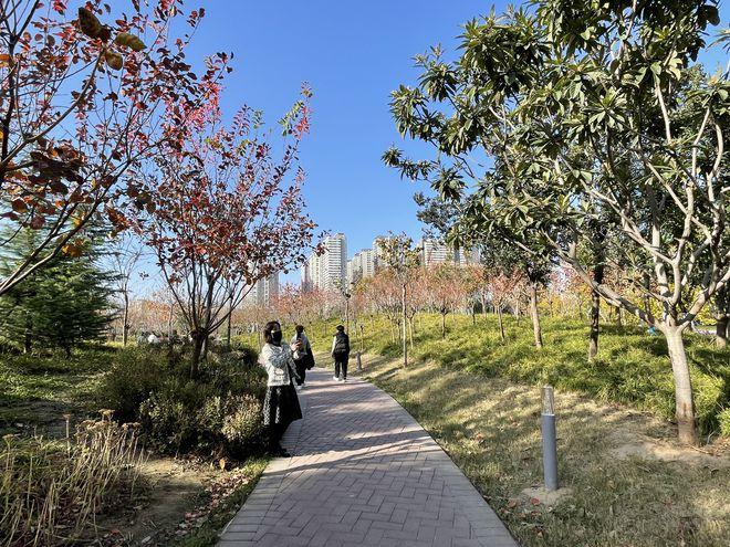 郑州青少年公园迎来首个秋天明年年底整个园区建成开放
