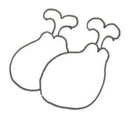 小鸡炖蘑菇儿童简笔画怎么画