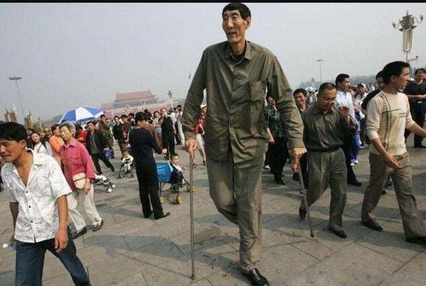 世界第一高人5米9的人图片清朝第一巨人詹世钗真实身高