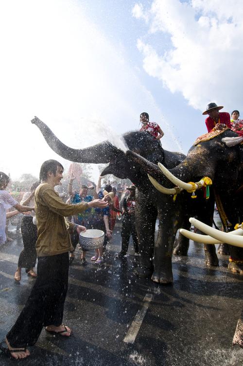 到泰国泼水节去狂欢咯!