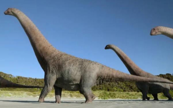 它们是这片大陆上最大的恐龙由于体型庞大没有掠食者能与它们一较高下
