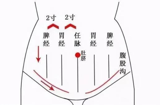 而肚脐通过奇经八脉与十二经脉相通,奇经八脉是任脉,督脉,冲脉,带脉