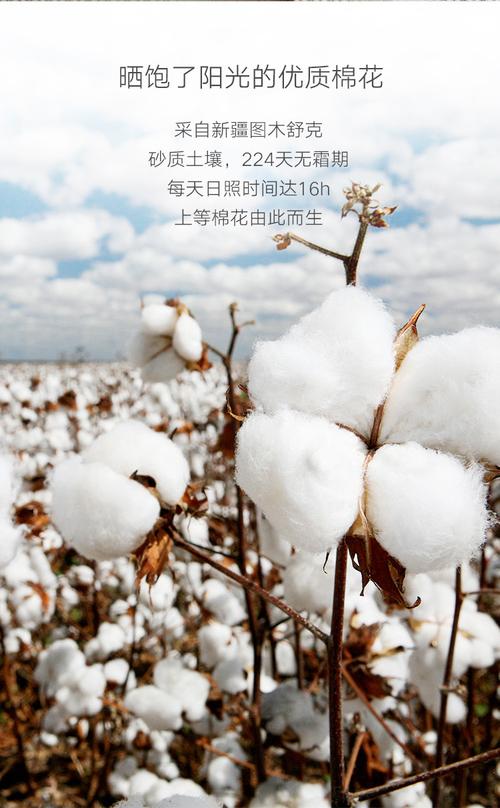 a类婴幼儿标准100%新疆棉花被芯棉被被子7斤/4斤保暖加厚