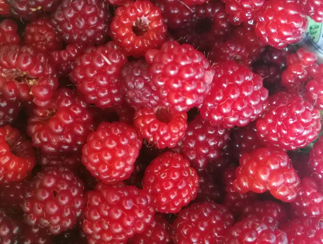 把一盘紫红的树莓鲜果,用豆浆机打成鲜莓果汁,加上点白糖,味道甜中带