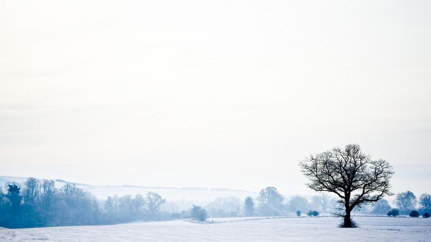 唯美冬日雪景摄影图片桌面壁纸高清大图预览1920x1080_风景壁纸下载