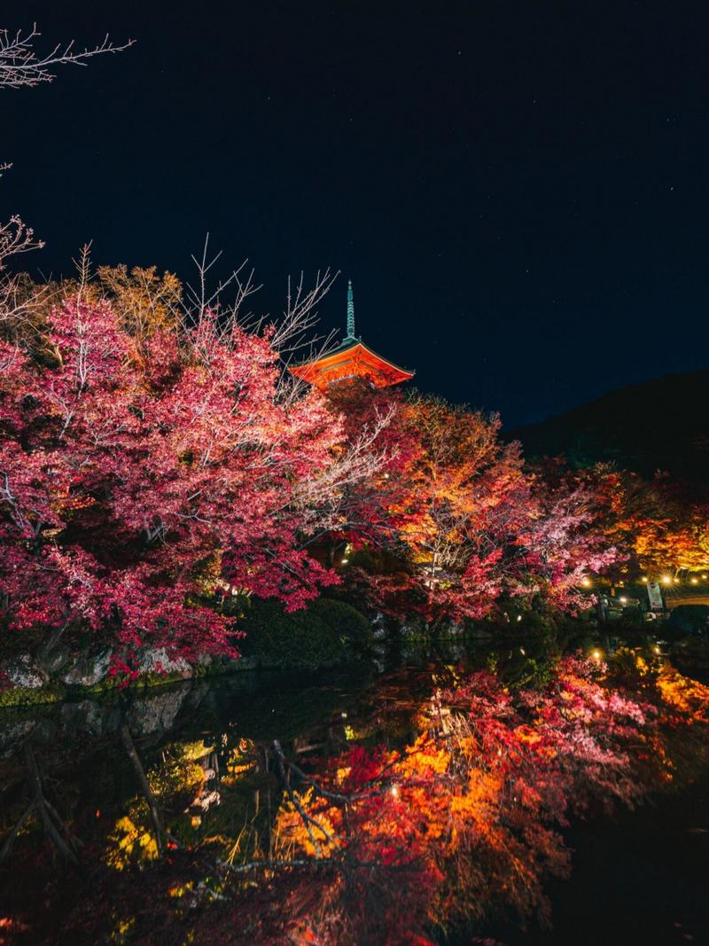 绝景日本 | 京都府 | 清水寺 秋季夜间点灯 清水寺一年一度的秋季夜间