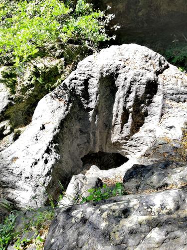 安吉章村毛竹林中滴水穿石自然景观