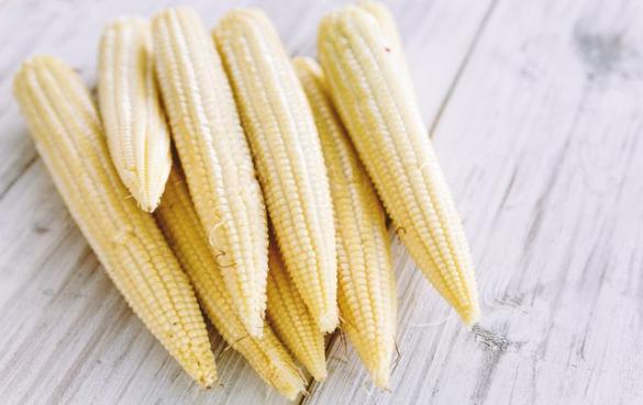 小玉米的营养价值和功效