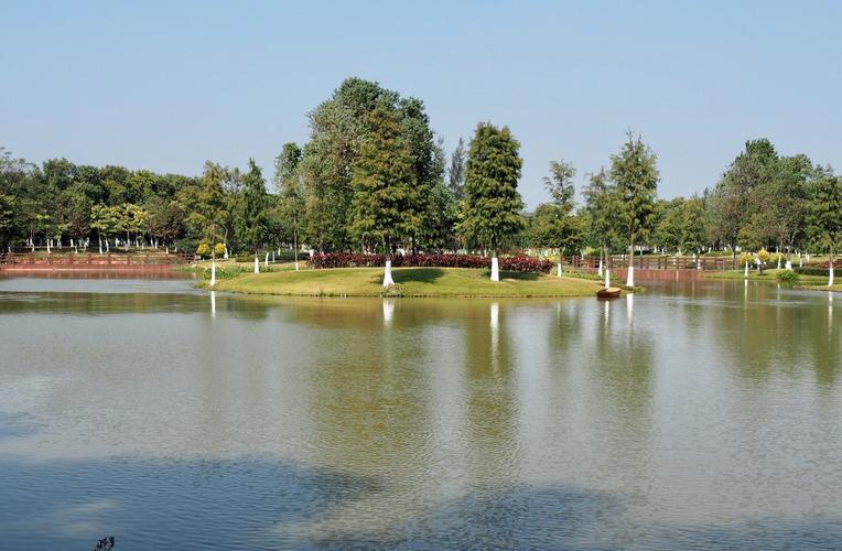 白云湖有个人工湿地公园
