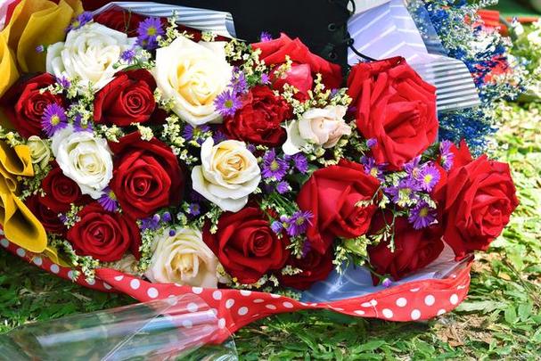 玫瑰花是一种常见的花卉,也是送礼物和表达情感的常用花卉之一.
