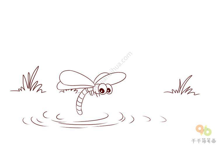 动物成语故事蜻蜓点水简笔画