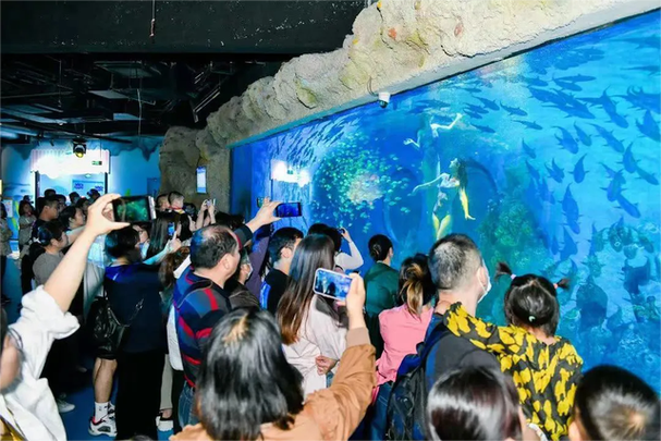 壁纸 海底 海底世界 海洋馆 水族馆 640_427