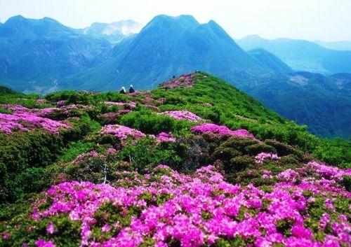 感受多彩贵州的山明水秀:百里杜鹃花和贵州线路