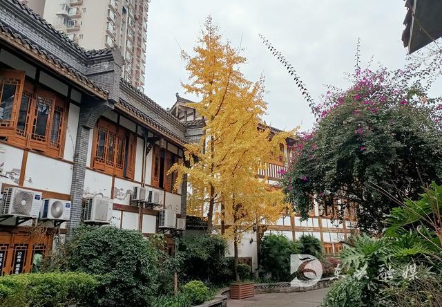 四川省内江市东兴区:一条历史文化缩影的老街