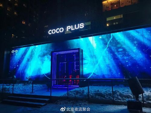 北京工体cocoplus酒吧