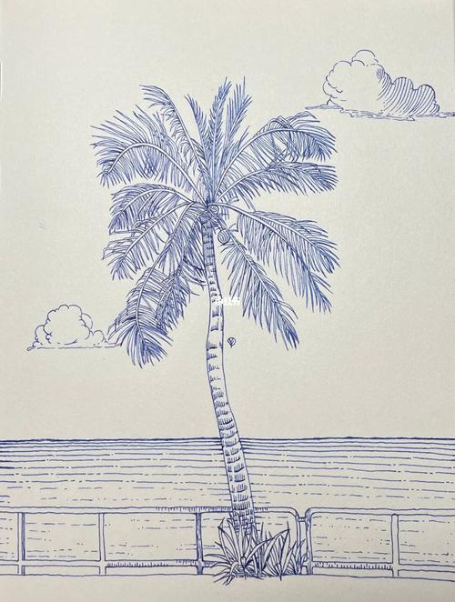 钢笔画06椰子树