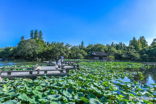 杭州西湖最热门景点:水乡与园林相映,营造国画级名胜区!
