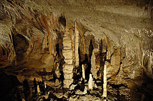 钟乳石,石笋,室内,喀斯特地貌,洞穴,波斯托伊纳,斯洛文尼亚,欧洲