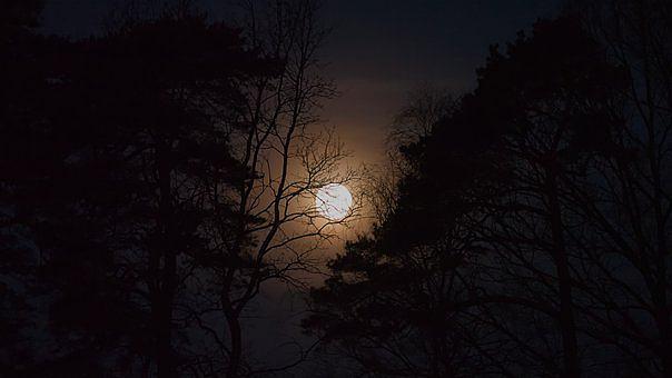 满月夜月球月光性质黑心情夜晚的天空黑色沉默