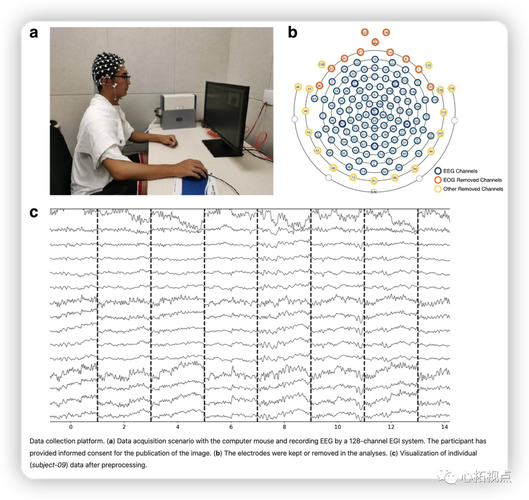 澳门大学研究人员利用egi高密度脑电图来评估决策的选择 - 心拓视点